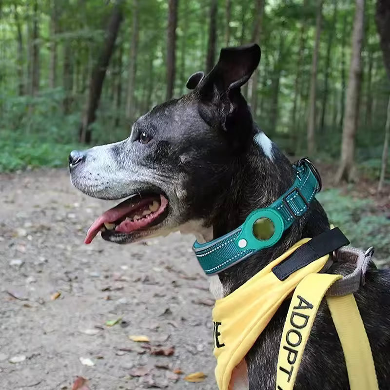 Anti-Lost Dog Collar Waterproof Reflective Airtag